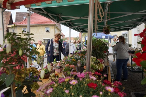 Herbstmarkt in Baunach